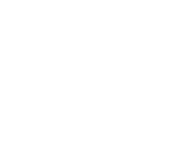 Logo CPB Centre | Gymnastique Artistique